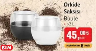 BUULE ORKİDE SAKSISI BUULE ORKİDE SAKSISI